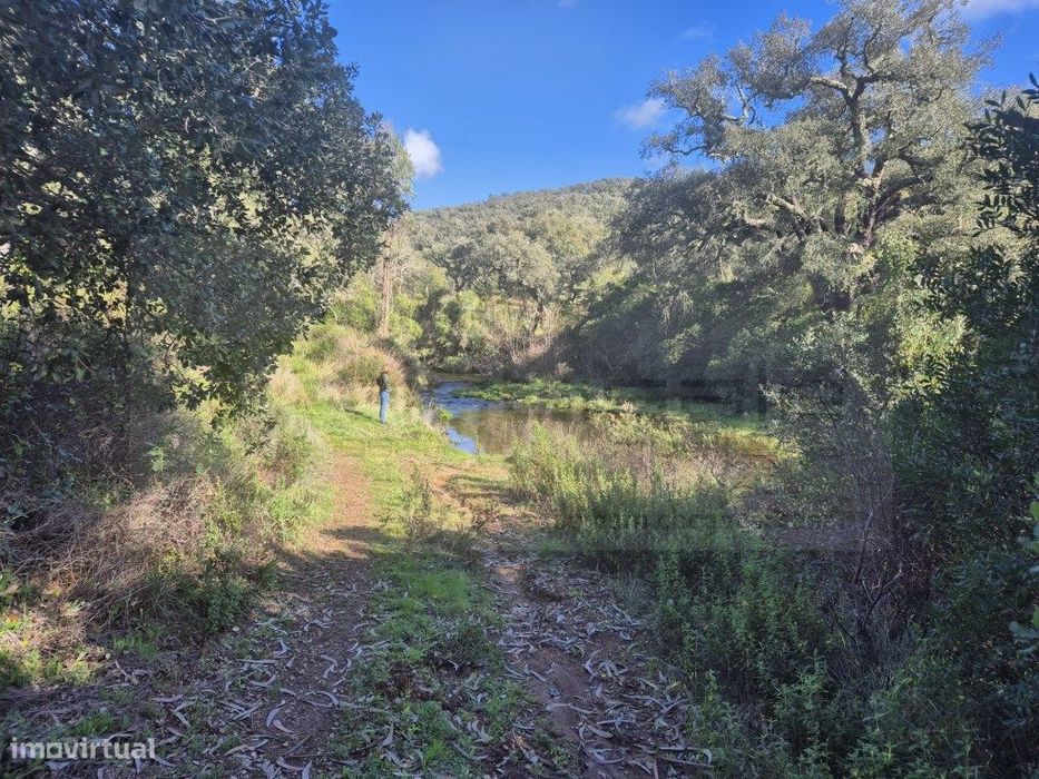 Terreno entre Grandola e Melídes com boas perspectivas de valorização.