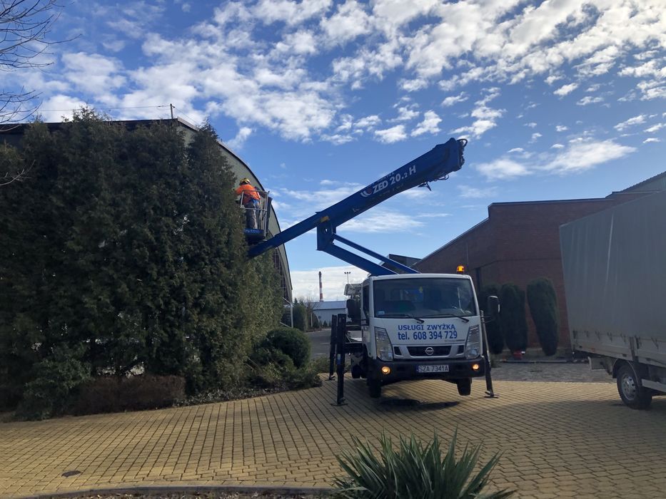 Zwyżka wynajem WYCINKA DRZEW usługi HDS  zwyżka podnośnik 21 Myszków