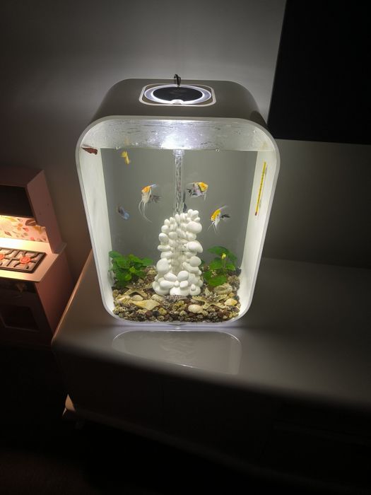 Aquário Biorb 60 L