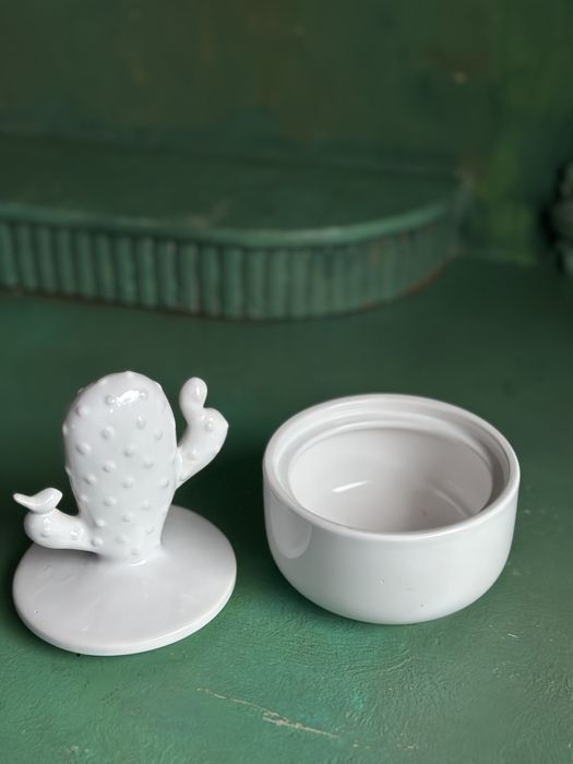 Szkatułka ceramiczna kaktus
