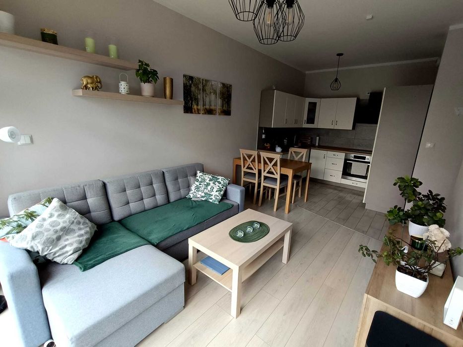 mieszkanie 36 m2 do wynajęcia