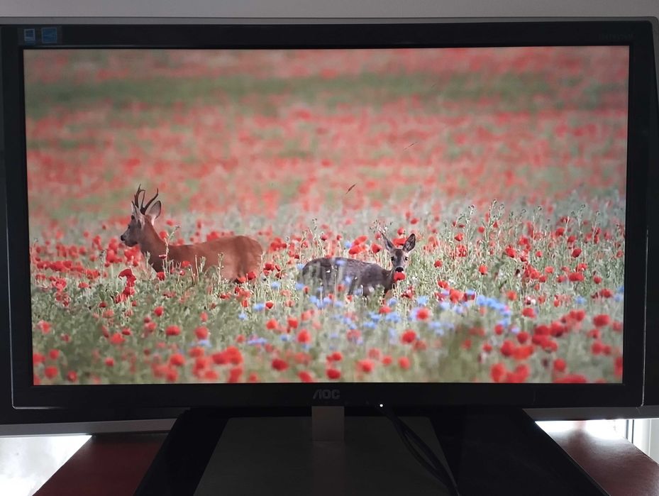 Monitor AOC I2476VWM czarny