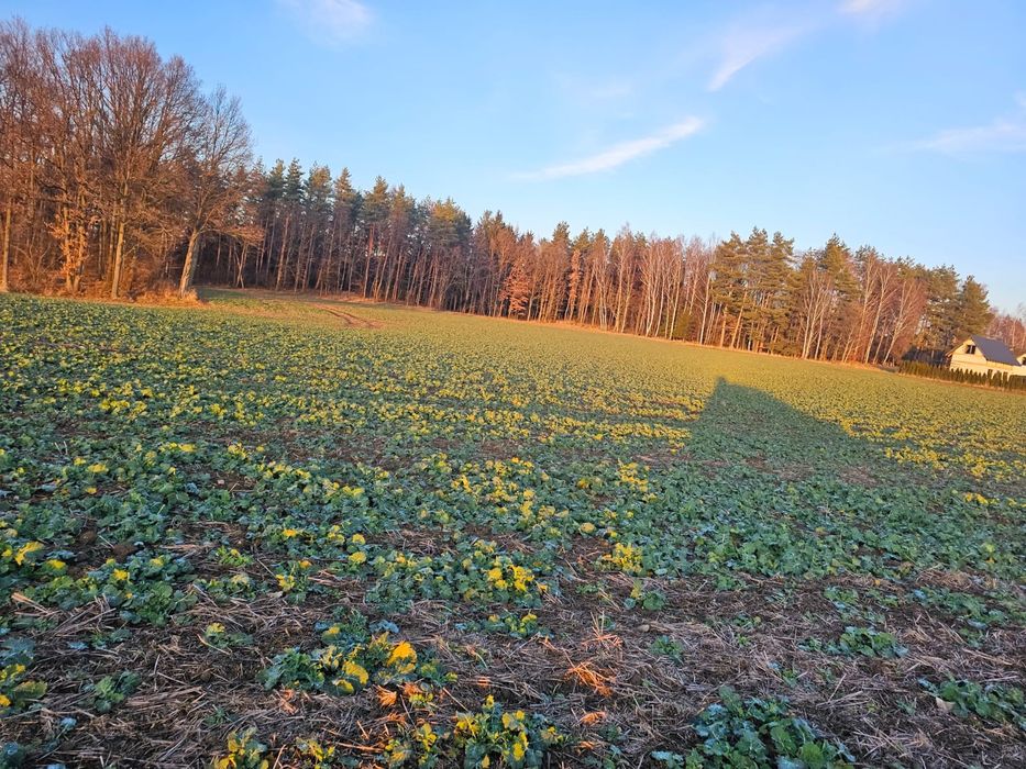 Działka budowlana w spokojnej okolicy - Widok 4
