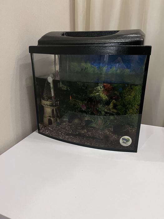 Акваріум для рибок