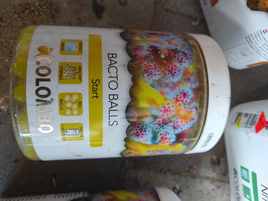 Colombo do akwarium morskiego