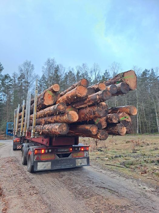 Sosna tartaczna dłużyca transport