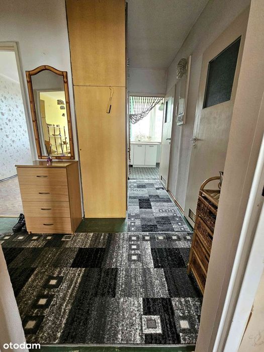 Słoneczne, przestronne, 3-pokojowe mieszkanie w świetnej lokalizacji