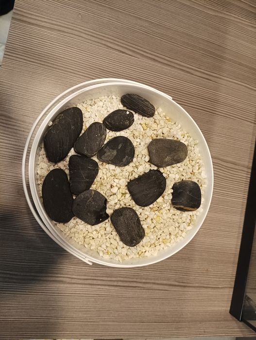 Akwarium  Diversa 60x30x30