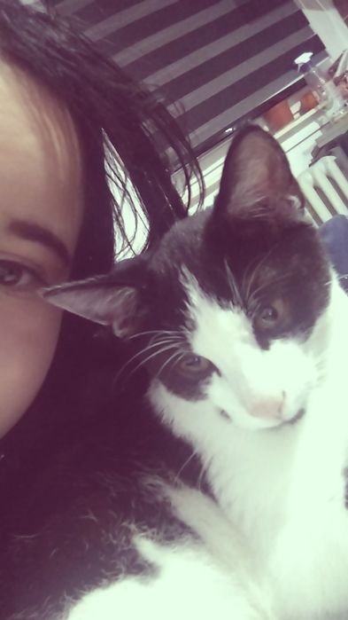 Oddam kotka w dobre ręce