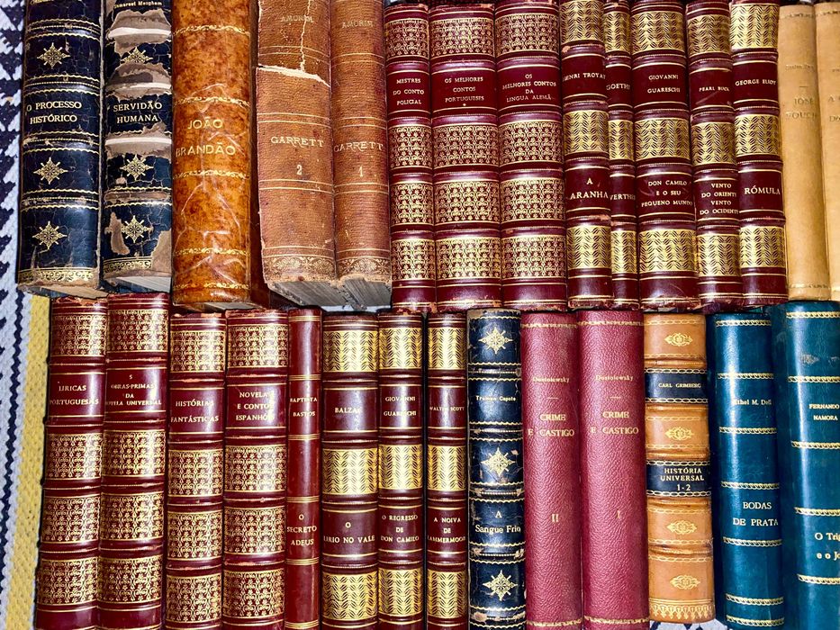 Lote livros antigos literatura - raridades