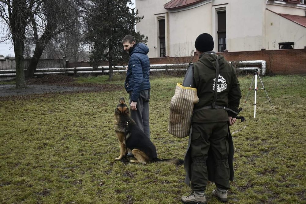 Дрессировка собак Кривой Рог
