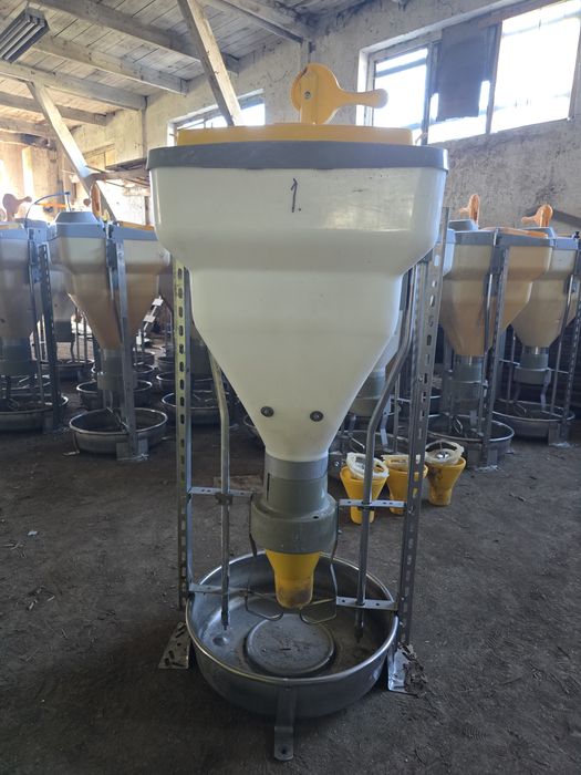Automaty paszowe