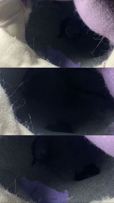 Furry fursuit mini partial cocker spaniel premade