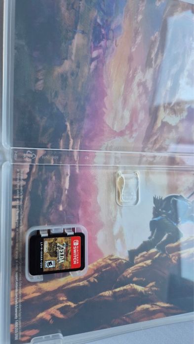 The Legend of Zelda Breath of the Wild (Nintendo Switch)