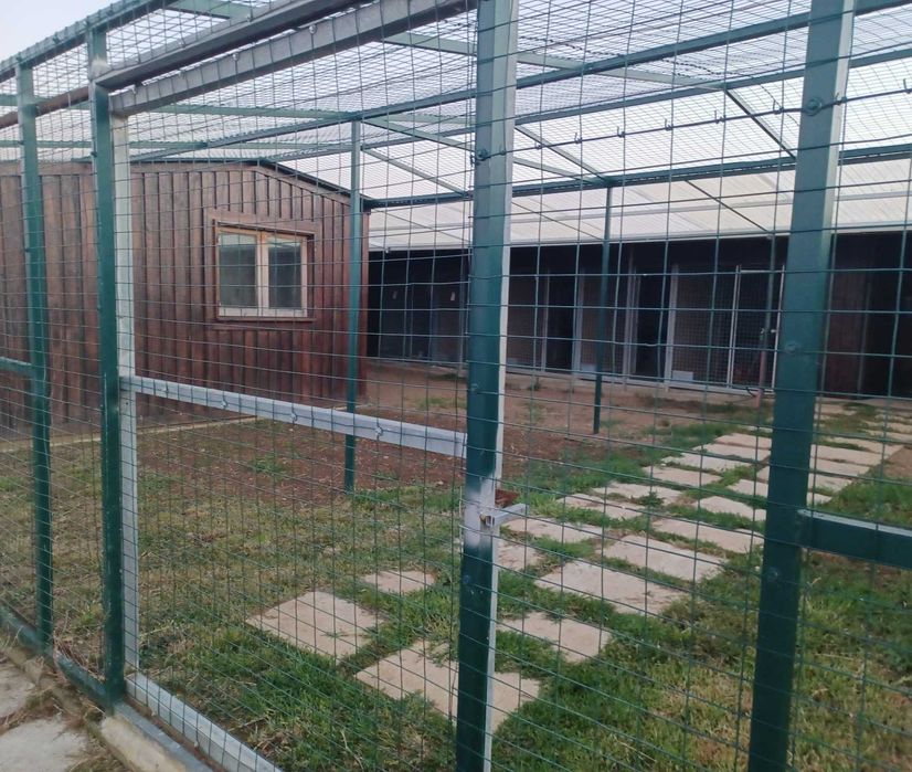 Hotel canino e felino - alojamento para cães e Gatos em coimbra