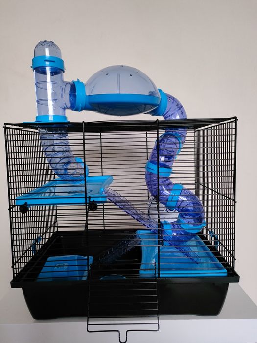 Klatka dla chomika gungalskiego z wyposażenie.