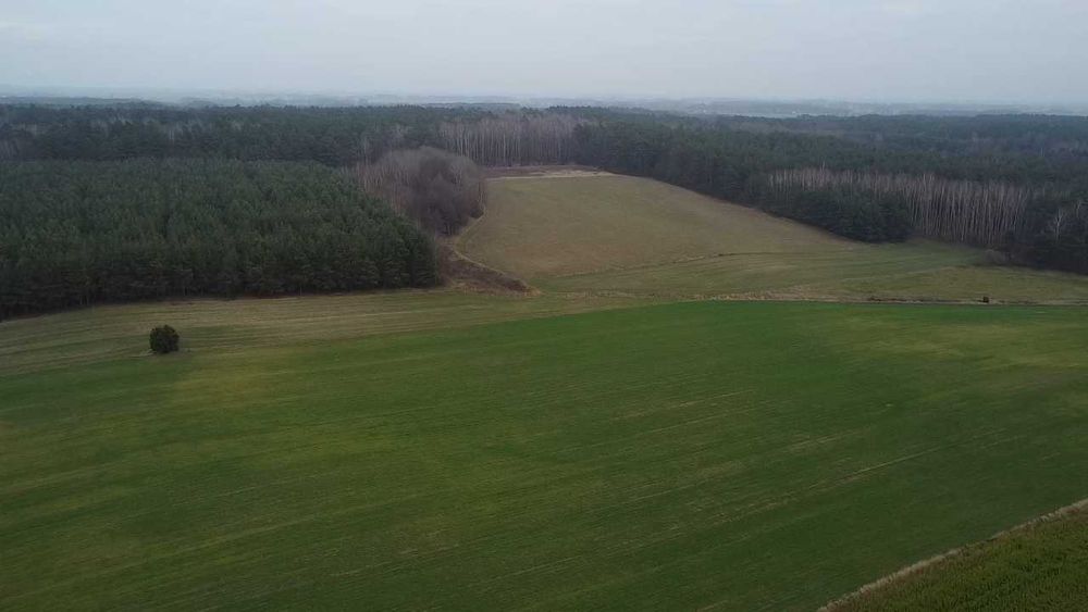 Sprzedam ziemię rolną i las 3,05 ha. Targonie.