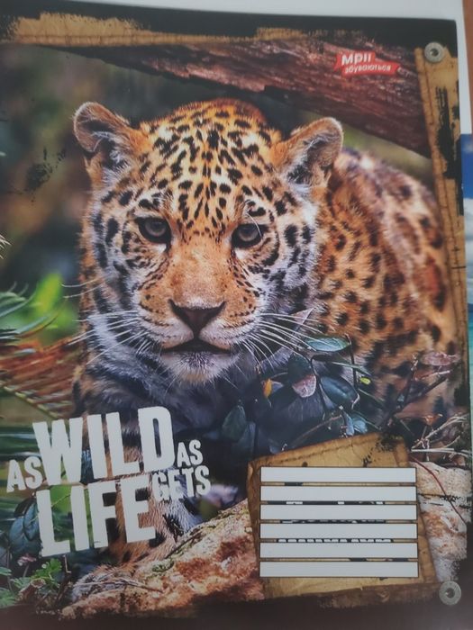 Тетради  школьные