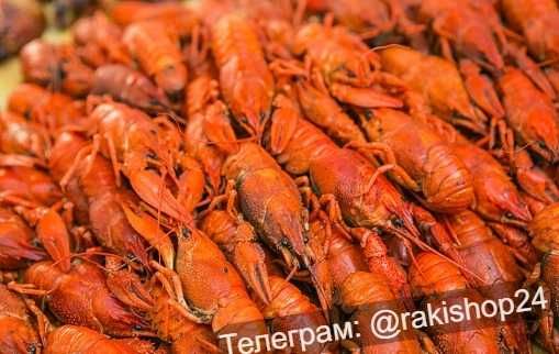 Найсмачніші раки з ікрою у місті. Доставка.