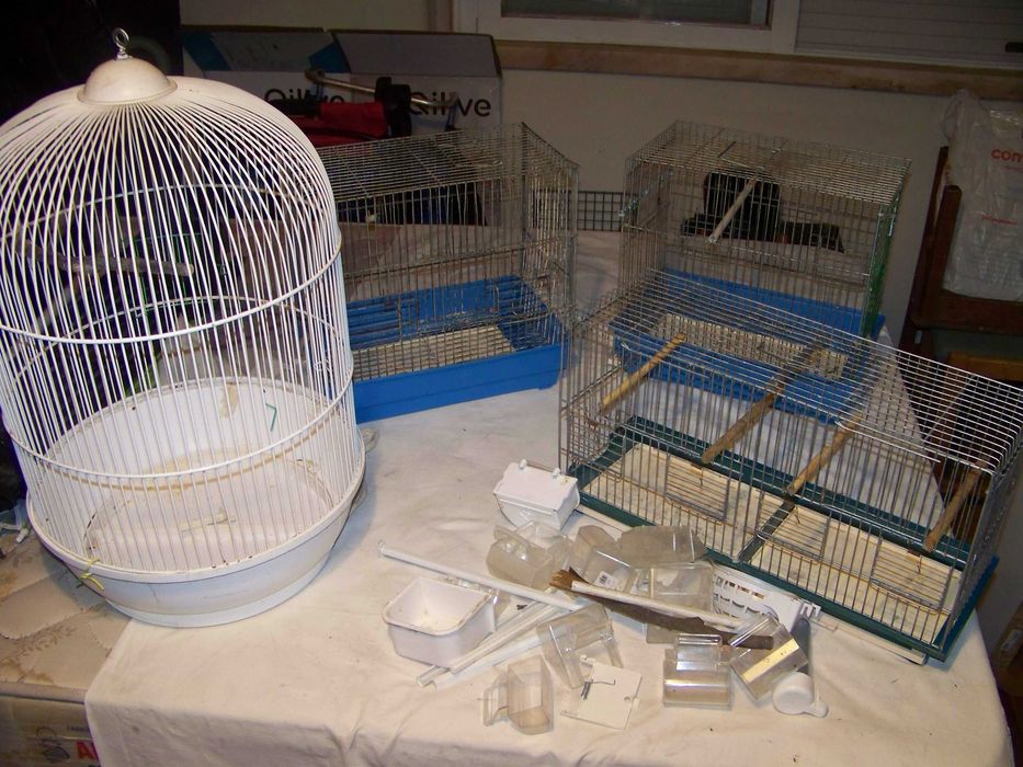 3 gaiolas para pássaros e comedouros
