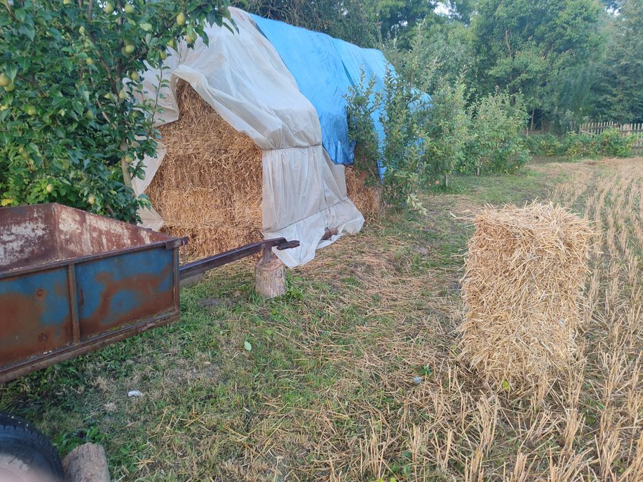 Продам тюки соломи
