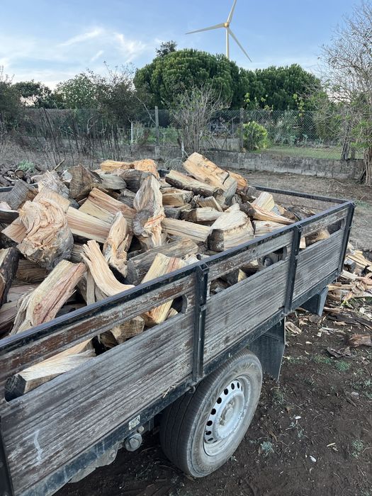 Lenha pinho para lareiras