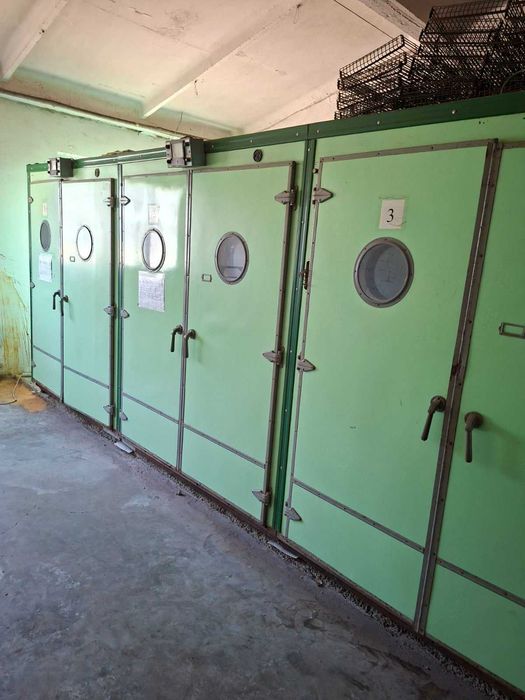 Інкубатор промисловий на 45 тис. курячих яєць.