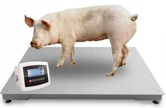Rolnicza Waga Inwentarzowa do Bydła Świń 0,8x1,5m 3t 5t Wysyłka