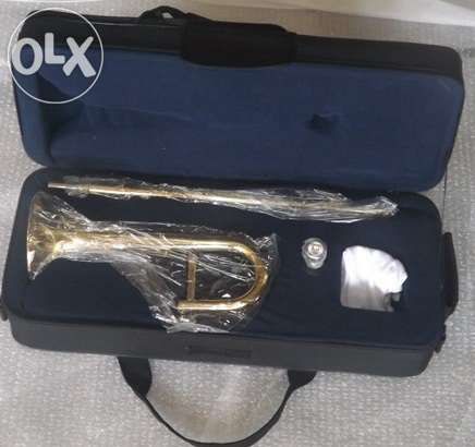 Trombone piccolo dourado64175300729219121