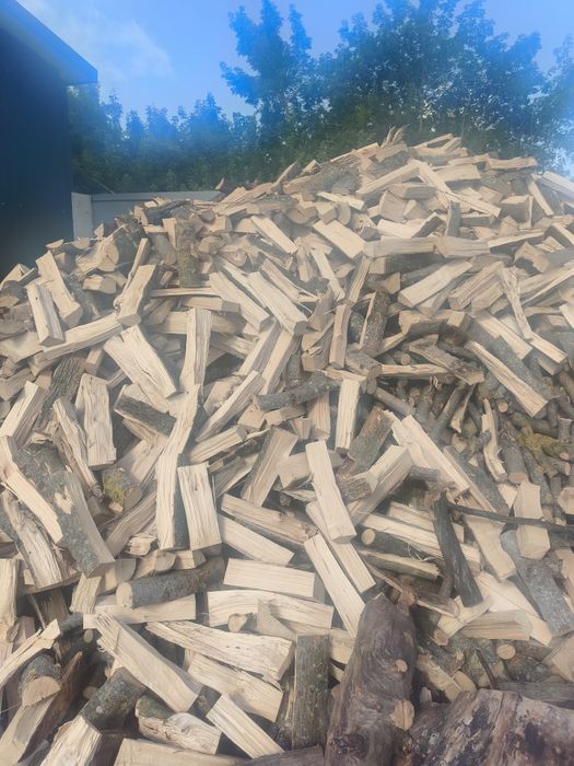 Дрова рубані твердих порід