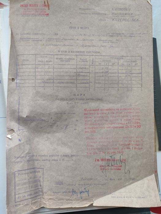 Działka leśna, las