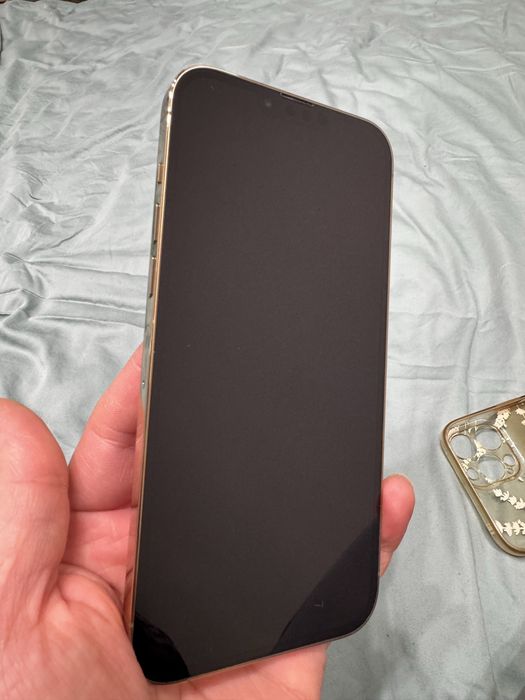 iPhone 13 pro max 1Tb