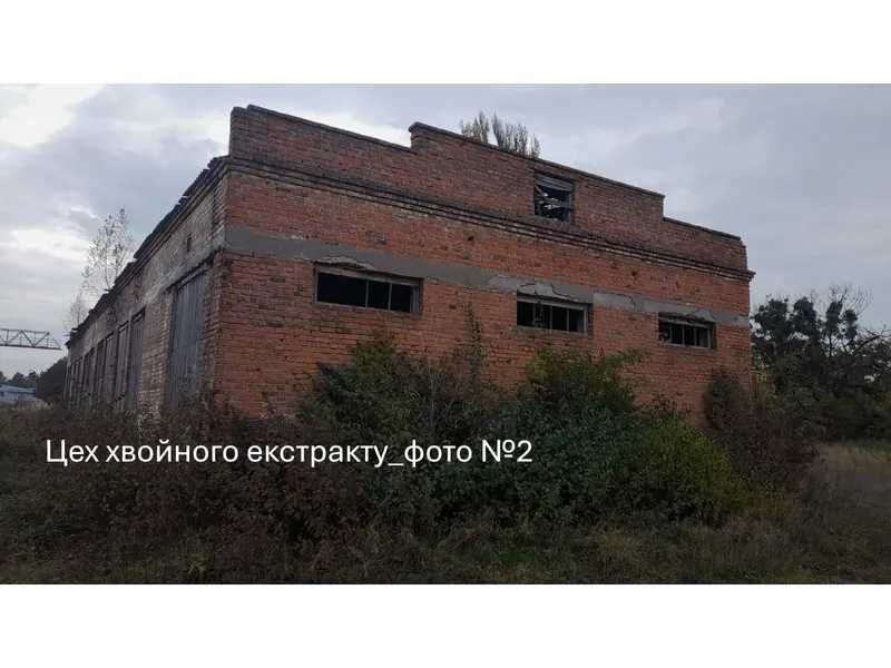 ПРОДАЖ - Цех стружки - майстерня РММ, їдальня та цех хвойного екстракту, площею 1289,0 кв.м. м. Володимир, вул. Сонячна, 1