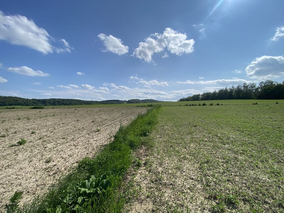 Топова земля, перша лінія, 50соток +