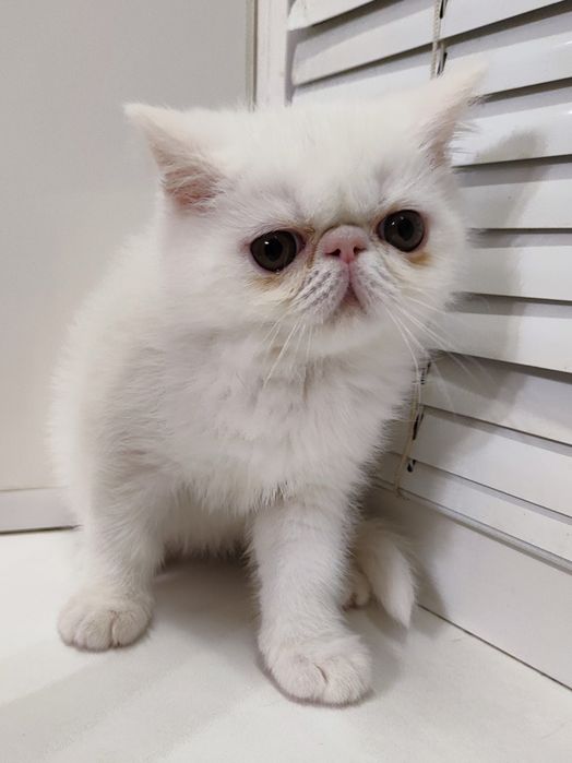 Нежнейший мальчик  Виталик