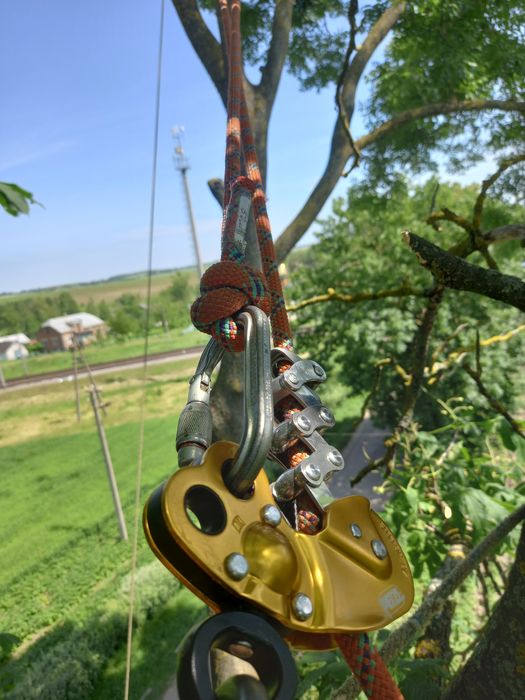 Спил, зрізання, видалення, обрізка аварійних дерев, арбористика