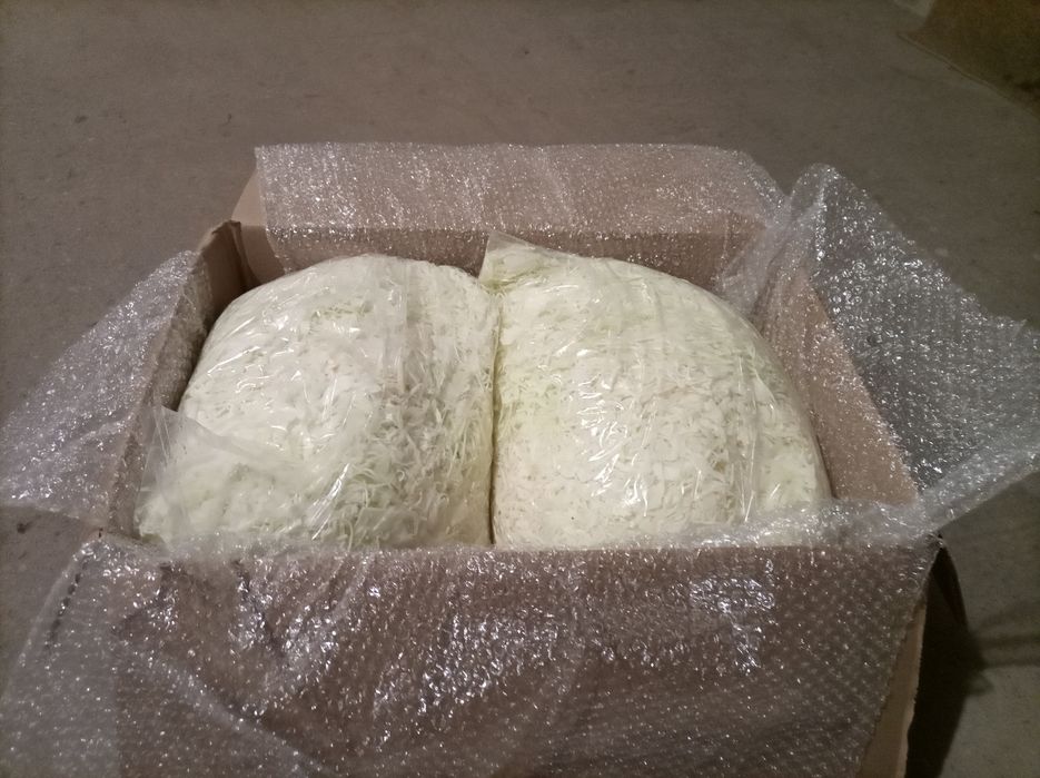 Kapusta szatkowana box 20 kg wysyłka cała Polska