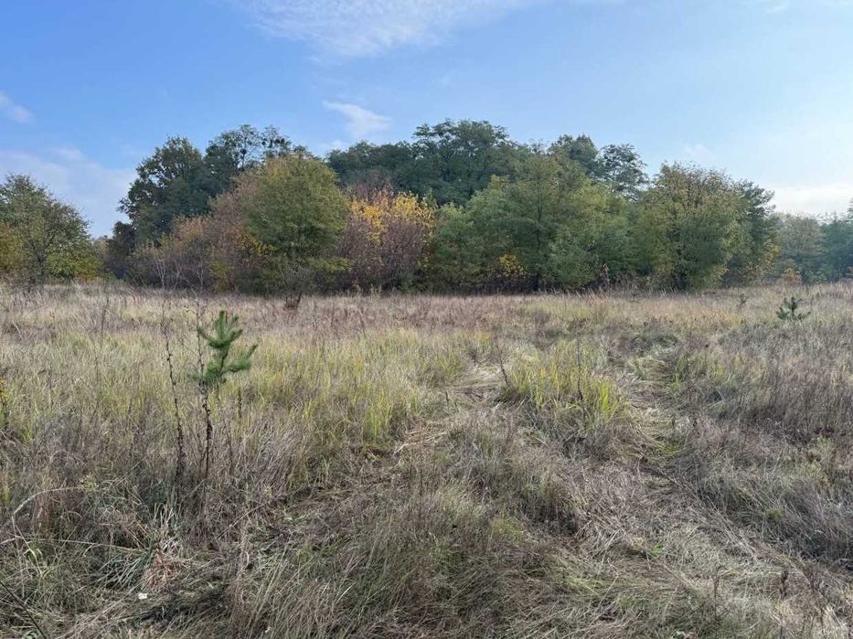 Продаж ділянки 27,5сот під забудову.Двохфасадна.Ліс.Світло поруч.ID:41