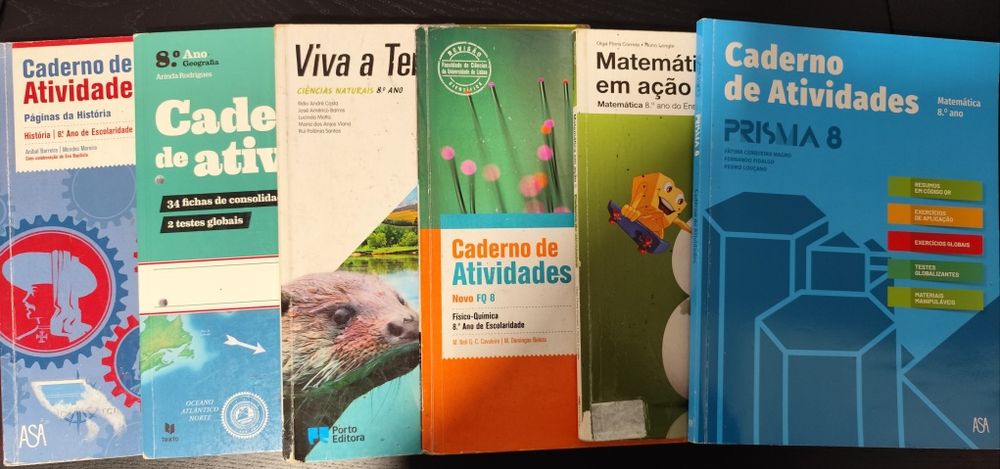 Cadernos de actividades/ livro de fichas 8°ano