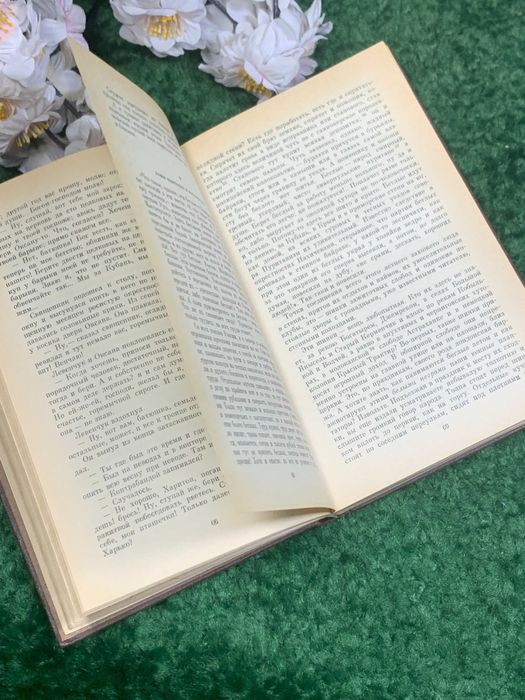 Книга исторический роман «Беглые в Новороссии. Воля» Данилевский 1984