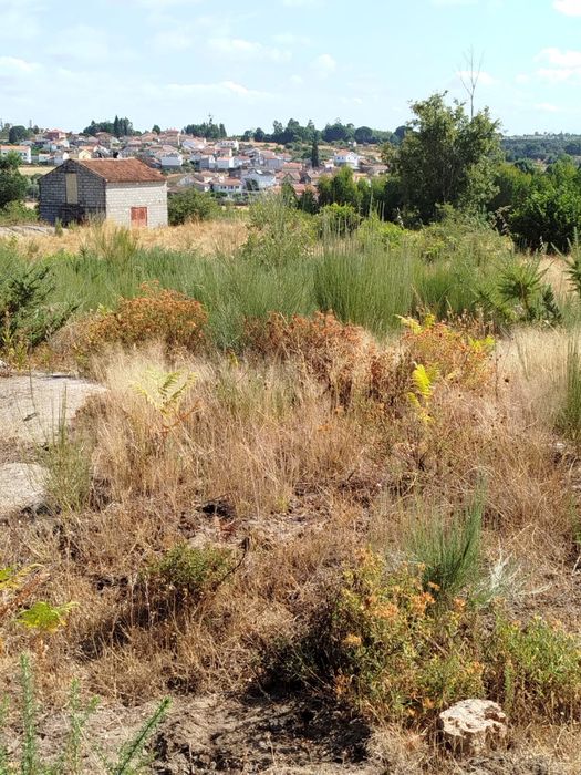 Terreno Rustico para VENDA