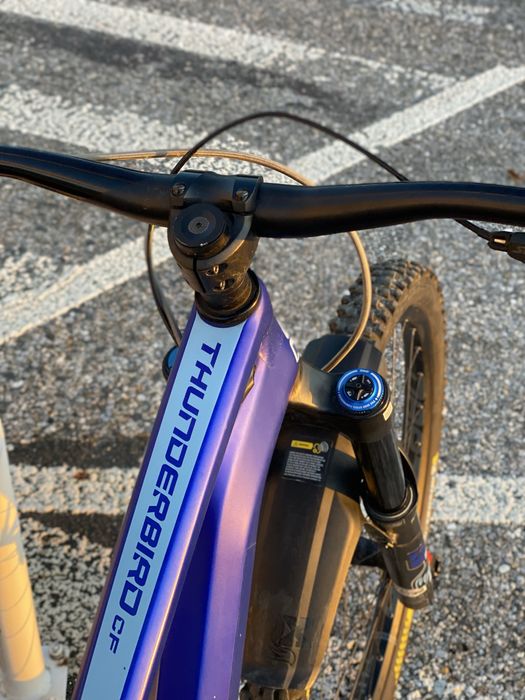 Dartmoor thunderbird cf pro 2023