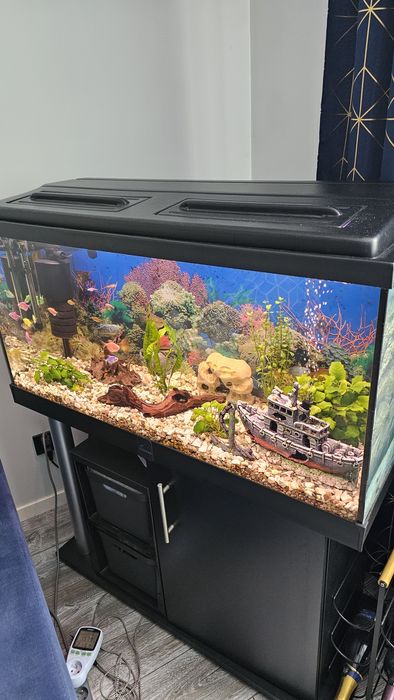 Sprzedam akwarium 200l Diversa