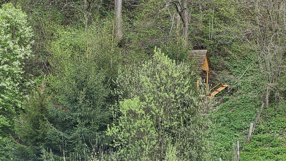 Vip apart  в Садибі з Джерельною водою біля гори, лісу та Східниці