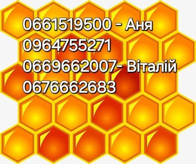 Приймаю замовлення на бджолопакети