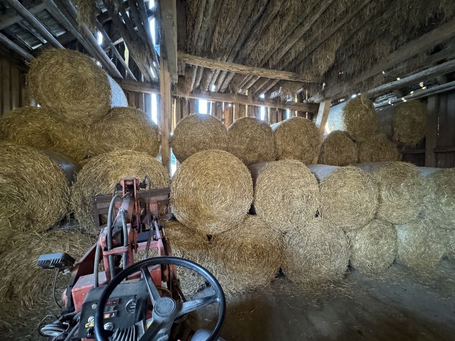 Słoma sucha ze stodoły 120 cm