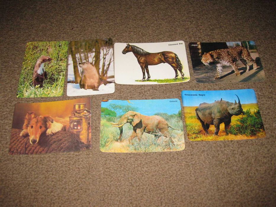 7 Calendários de "Animais Diversos" Impecáveis!