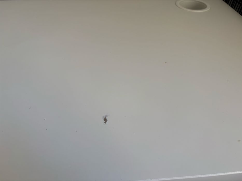 Biurko ikea micke