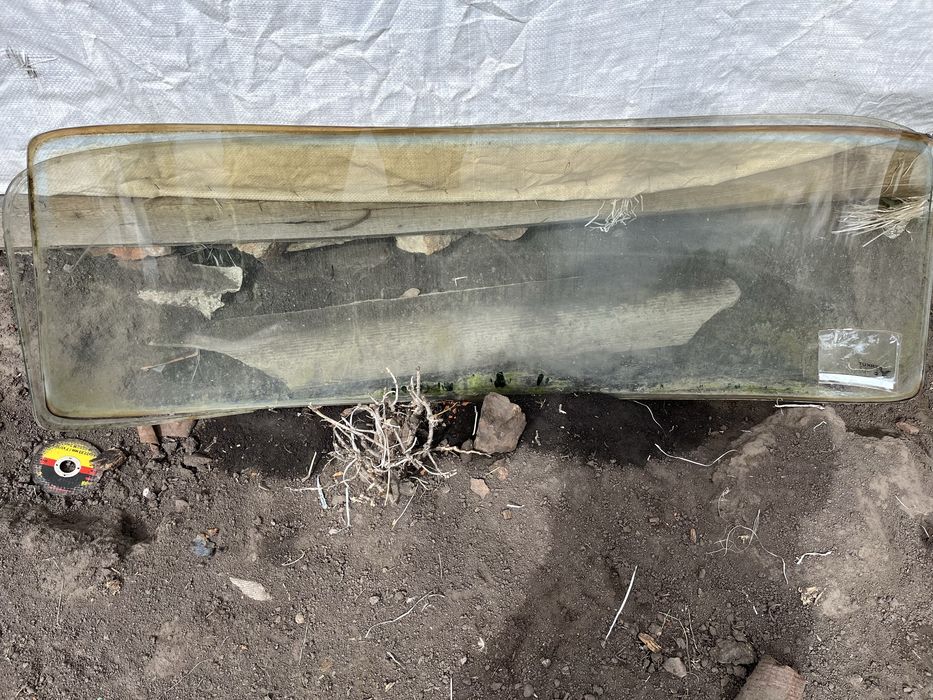 Скло на на авто Москвич