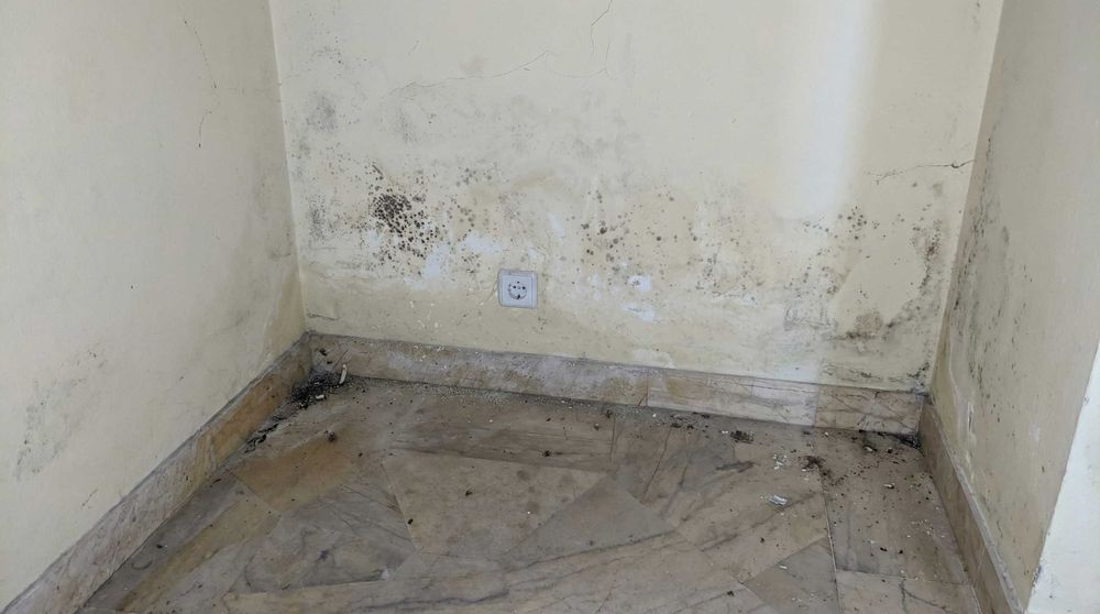 Osuszanie ścian iniekcja krystaliczna hydroizolacje  odgrzybianie